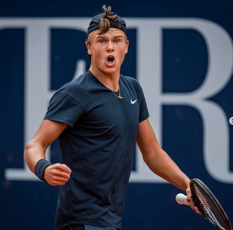 的应用不仅 的应用不仅