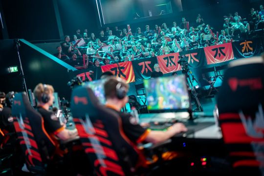 经典样本 经典样本